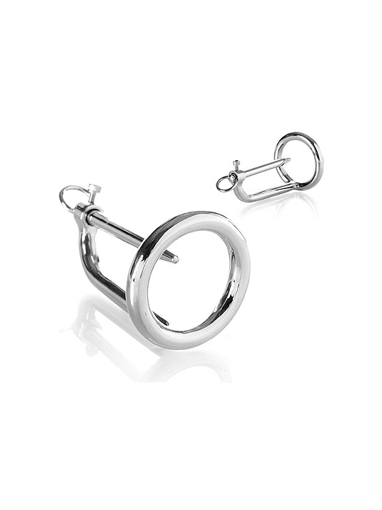METAL HARD - ANEL DE GLNDULA COM PLUG