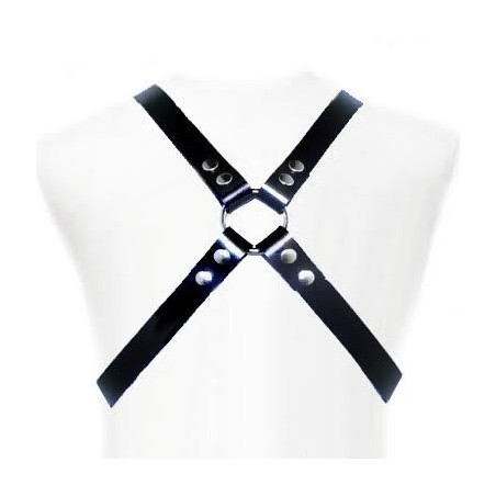 LEATHER BODY - ARREIO BSICO