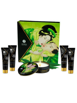 SHUNGA - KIT DE CHÁ VERDE ORGÂNICO SECRET GEISHA
